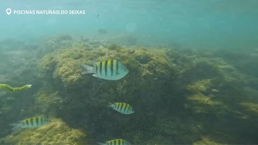 Em João Pessoa, o contato com a natureza é garantido