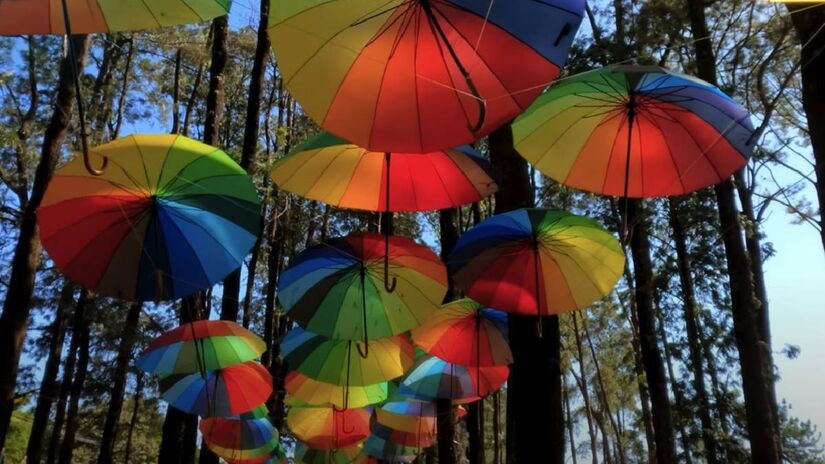 Artesanato e souvenirs: a rua Dória Vasconcelos reúne lojinhas charmosas para os turistas!  