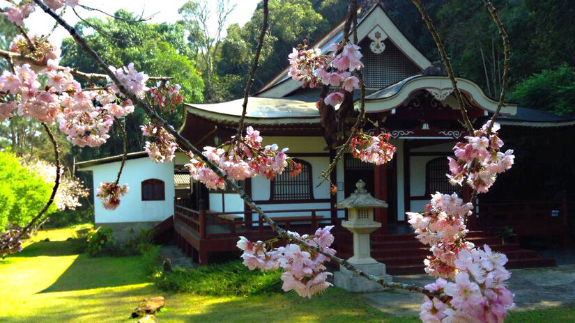 Templo Enkoji Zen: Fundado em 1995, o Templo Enkoji Zen oferece aulas de meditação e retiros espirituais. O local é um edifício sustentável, localizado em meio a uma natureza exuberante, com uma variedade de animais selvagens e um clima serrano ameno - (Reprodução/Facebook Templo Enkoji)