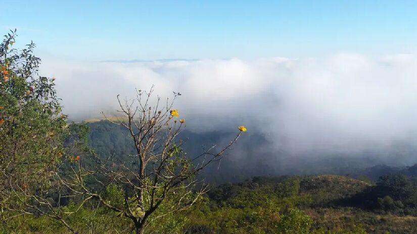 A caminhada na Trilha do Pai Zé vai da parte mais baixa da serra até o Pico do Jaraguá - (Divulgação/Governo do Estado de São Paulo)