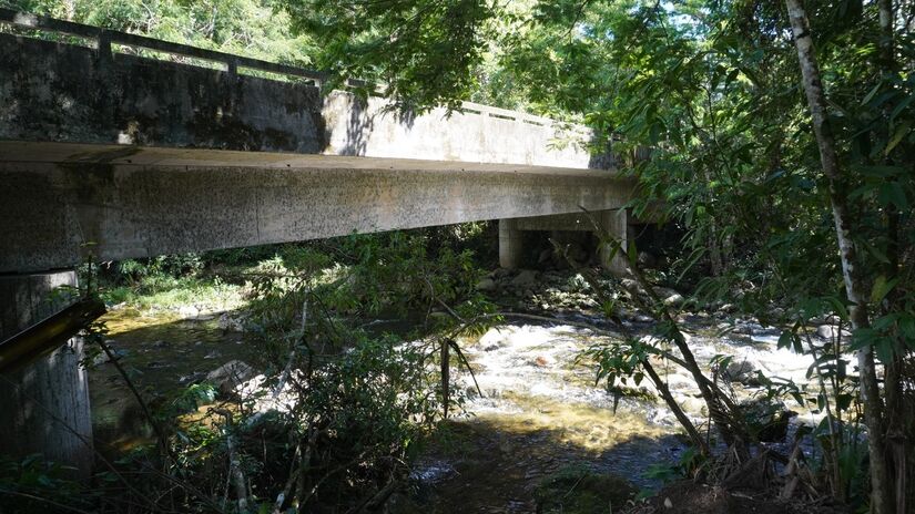 E o vestígio mais evidente daquele embate são duas pontes que 'levitam' entre árvores imensas, no meio da selva. Foto: Renan Louzada