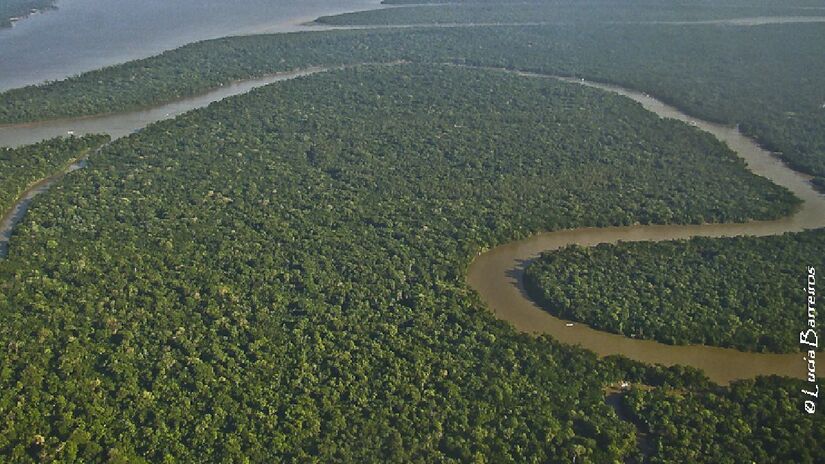 Rio Solimões é um dos principais afluentes do Amazonas. Imagem: Lucia Barretos/Flickr