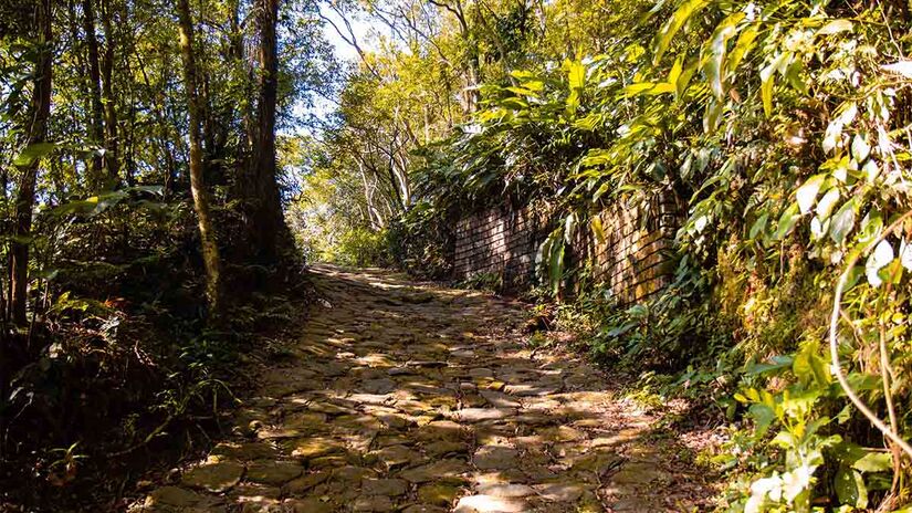 Parque Estadual Serra do Mar - Foto: Divulgação Caminhos do Mar