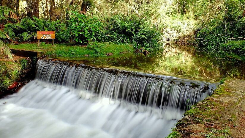 O Horto Florestal, é um dos pontos mais famosos da cidade, o principal para o ecoturismo. Ele fica em uma área protegida de Mata Atlântica e abriga mais de 186 espécies de aves, e outros animais ameaçados de extinção, como a onça-parda e a jaguatirica - (Rafael Borges Mundim/Wikimedia Commons)