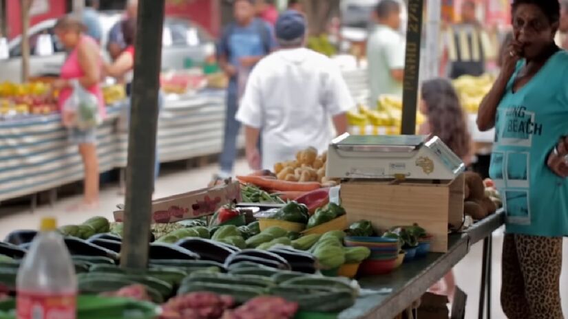 Após a falência da fábrica, um grupo de grileiros vendeu ilegalmente lotes no local. As famílias que compraram os terrenos e já viviam ali foram surpreendidas por um mandado de reintegração de posse.