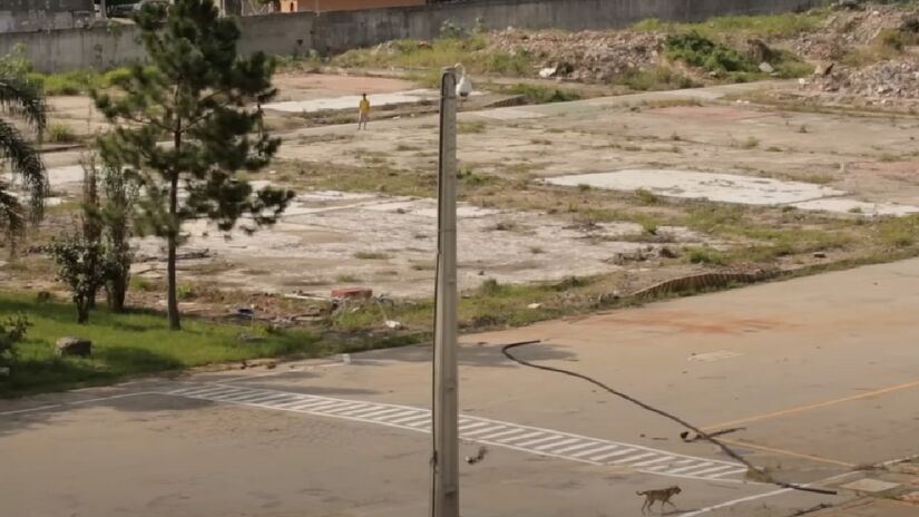 Desde então, os moradores do bairro lutam pelo direito de permanecer no espaço e por condições básicas de moradia. A região enfrenta vulnerabilidades sociais e ambientais.