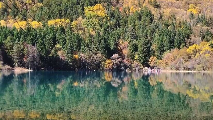 Five Flower Lake - China: Além de lago azul ou rosa, o localizado no Parque Nacional de Jiuzhaigou, na China é multicolorido, lembrando um cenário de um filme digno da Disney - (Reprodução/YouTube)