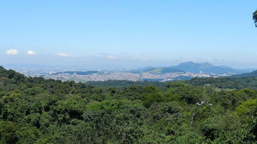 Parque Estadual Cantareira - Foto: Euripides Jr./Wikimedia Commons