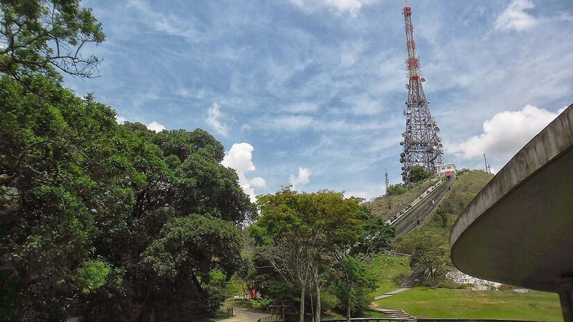 Parque Estadual do Jaraguá - Foto: Fe Hirata/Wikimedia Commons