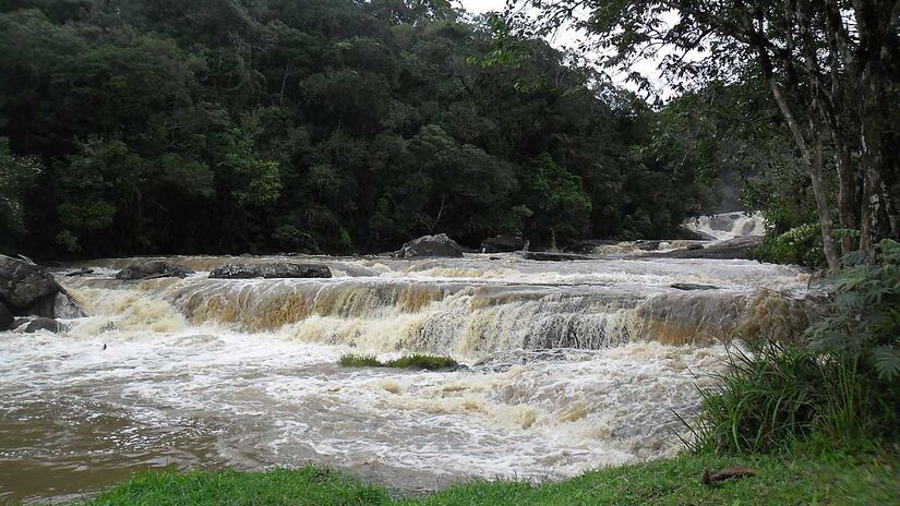 Parque Estadual Serra do Mar  Núcleo Cunha - Foto: Fe Hirata/Wikimedia Commons