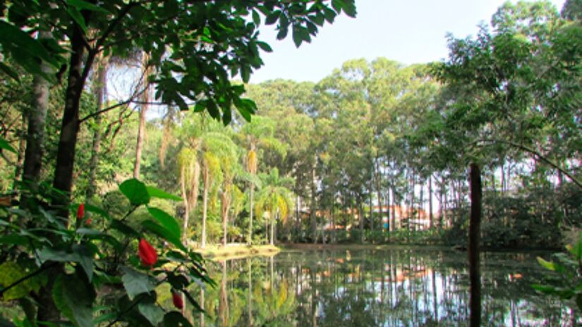 O parque do Piqueri também é um bom espaço para aproveitar com toda a família. Foto: Divulgação/Prefeitura de SP