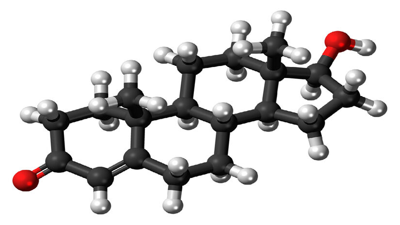 Testosterona é um hormônio sexual predominante em corpos masculinos, mas mulheres cisgênero também produzem uma quantidade mínima de testosterona. Imagem: Wikimedia Commons