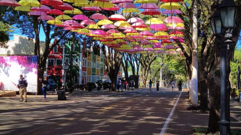 O sucesso foi tão grande que Holambra se tornou a maior produtora de flores do Brasil, organizando até mesmo um leilão eletrônico de flores. (Fotos: Reprodução/Youtube/Naturam Viagens)