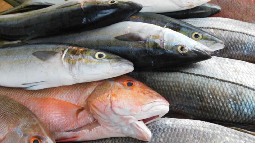 Peixe também contém cálcio. Imagem: PxHere