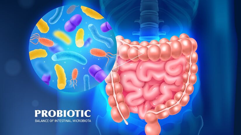As vitaminas do mamão também criam um ambiente favorável para as bactérias do intestino (Fotos: Freepik)