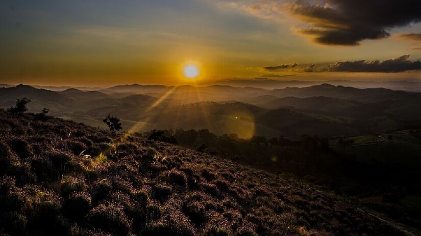Pôr do sol no lavandário é um ótimo programa romântico. Imagem:Giselle Camargo/Wikimedia Commons