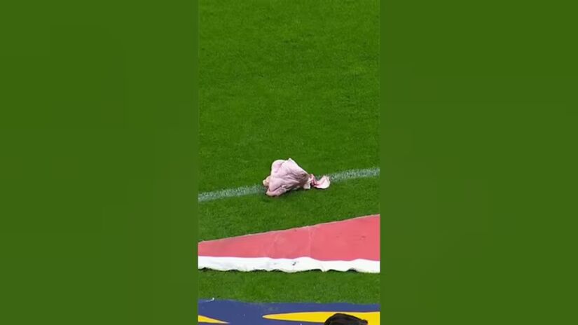 Em um jogo no Campeonato Brasileiro, Corinthians e Palmeiras se enfrentaram na Neo Química Arena. Durante a partida, uma cabeça de porco foi arremessada para o gramado, fazendo a alusão para o clube alviverde. (Foto: Reprodução/Youtube)