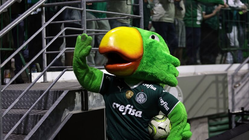 O mascote tradicional do Palmeiras sempre foi o Periquito. Adotado ainda em 1917 pelos torcedores do Palestra Italia, quando o time passou a se vestir totalmente de verde, o apelido também se origina no fato de que existiam muitas aves deste tipo nos bosques do Parque Antarctica. (Foto: Wikimedia Commons)