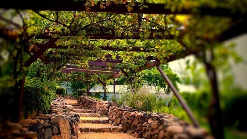 A aproximadamente 60 km da capital, São Roque é o destino ideal para quem aprecia vinhos e história. Foto: Reprodução