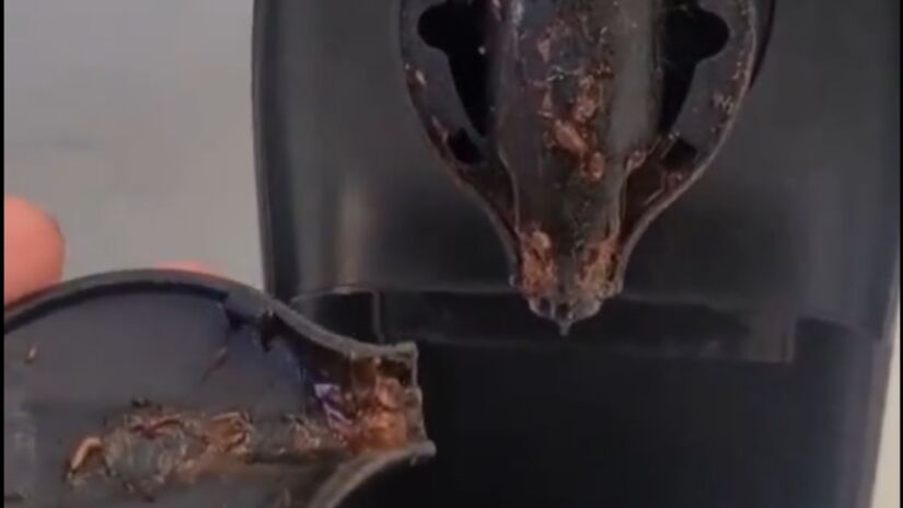 A infestação pode ser grande e estar em mais de uma parte da máquina (Foto: Reprodução/X)
