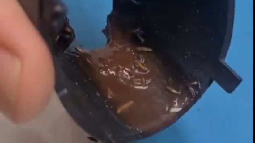 As larvas se acumulam em partes de difícil acesso na cafeteira (Foto: Reprodução/X)