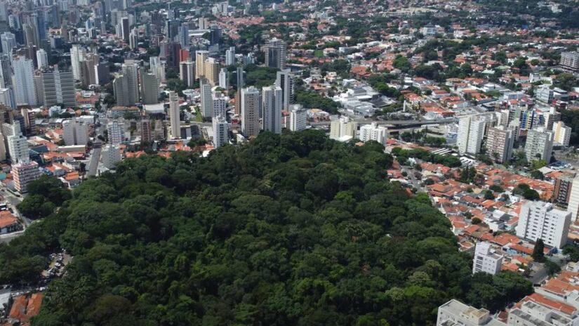 Mesmo com o alto custo de vida, Campinas oferece qualidade de vida e oportunidades. A infraestrutura de ponta e a economia forte são grandes atrativos.  