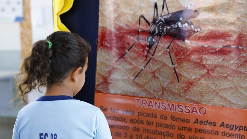 Campanhas de prevenção também são vitais para evitar a proliferação do mosquito. Imagem: Agência Brasília