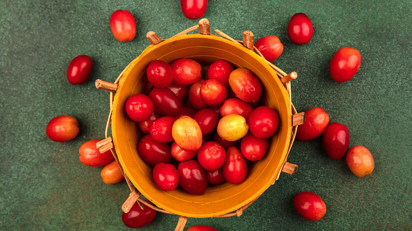 A Synsepalum duclificum, também conhecida como fruta-milagrosa ou fruta-do-milagre, consegue capaz de transformar os alimentos amargos e ácidos em doces, enganando o seu paladar - (Stockking/Freepik)