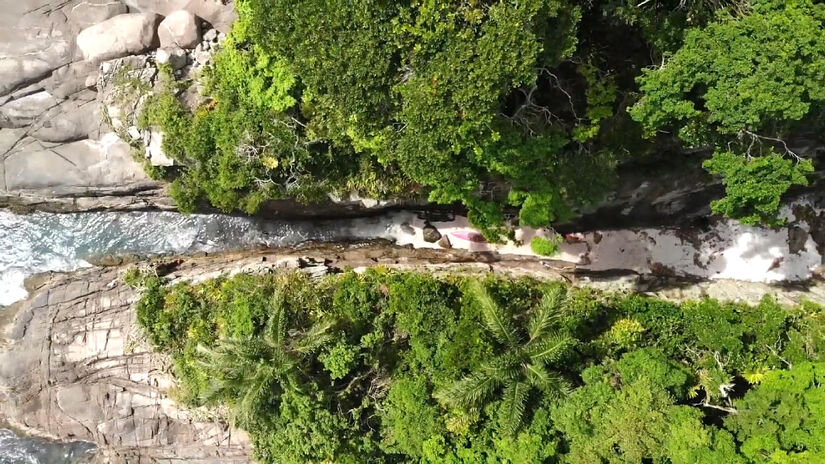 Prefeitura de Ubatuba, local onde a ilha se concentra, está empenhada em oficializar sua candidatura ao Guinness Book.