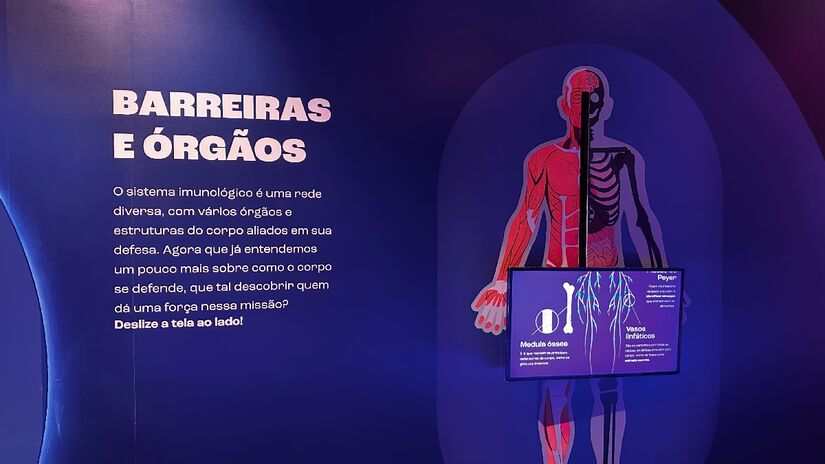 Exposição combina jogos, painéis táteis, vídeos e ambientes sensoriais.