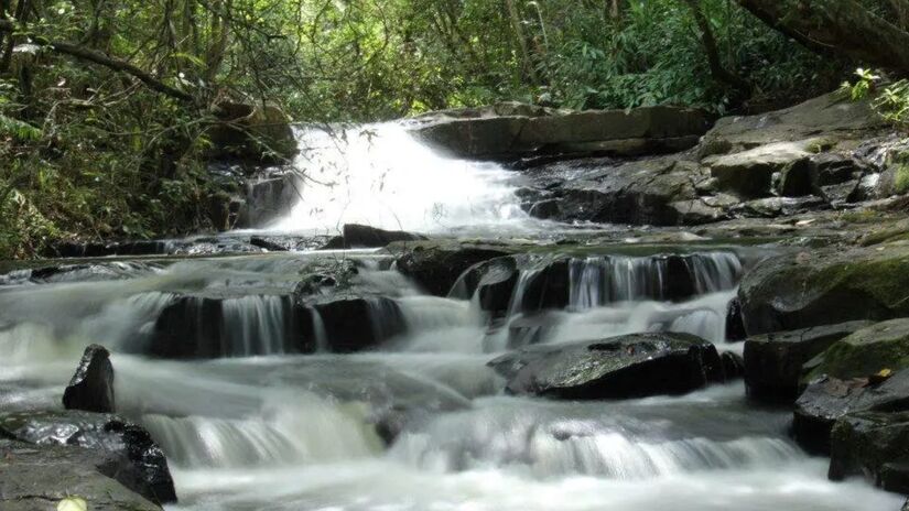 Entre elas, a Cachoeira do Salto Major Levy, com uma bela queda d'água de 25 metros; a Cachoeira da Bocaina, acessível por trilha e com seus impressionantes 45 metros; e a Cachoeira do Escorrega, com infraestrutura de camping e restaurante, ótima para famílias. Foto: Reprodução/ Turismo da Estância Climática de Analândia