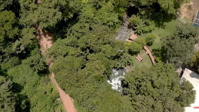 As piscinas de água doce ficam no meio das árvores
