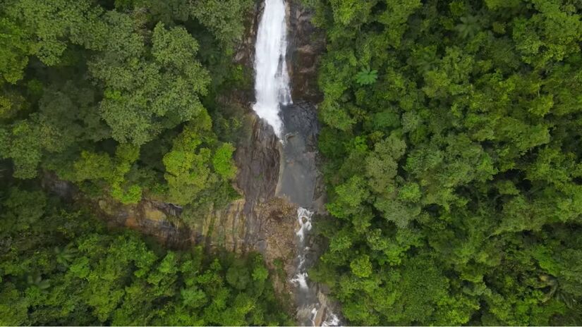 A visita é gratuita, mas é necessário agendar com antecedência pelo site do parque