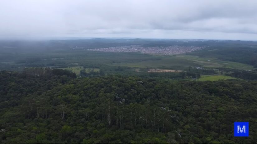 Descoberta na década de 1960, a cratera esconde segredos sobre a evolução da Mata Atlântica e espécies extintas.
