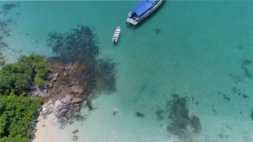 Iniciativas ambientais ajudam a proteger os ecossistemas marinhos da região (Fotos: Reprodução/Youtube)