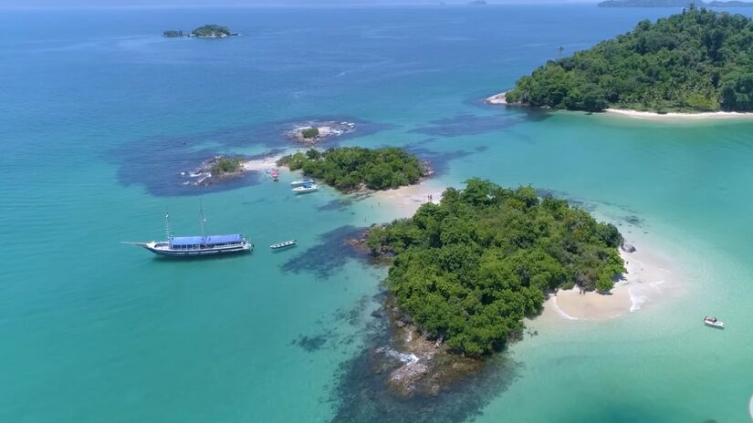 Passeios por trilhas conectam visitantes à biodiversidade da Mata Atlântica