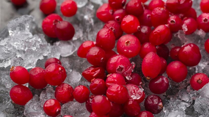 A fruta é rica em antioxidantes que protegem os rins contra danos oxidativos