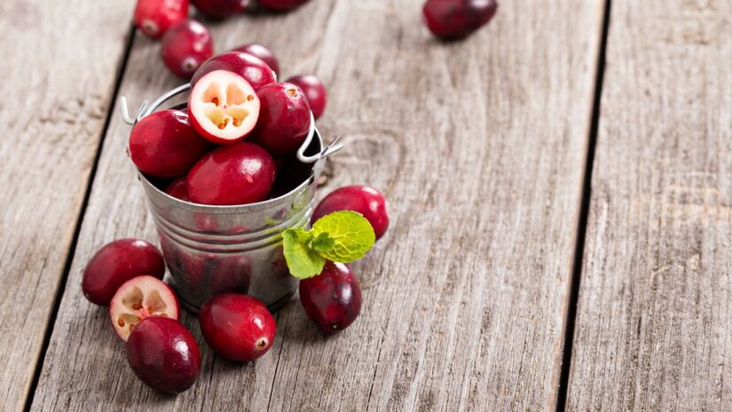 Estudos indicam que cranberries podem reduzir infecções urinárias recorrentes