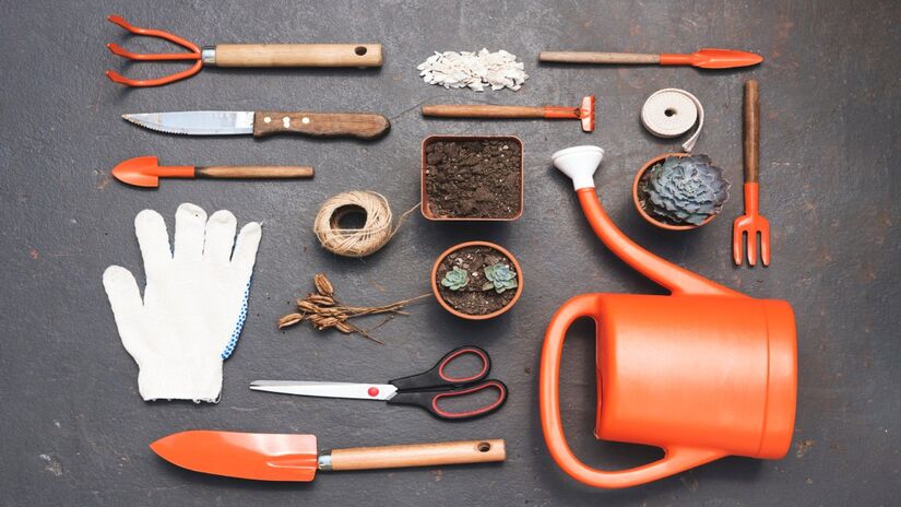 Ter seus próprios equipamentos de jardinagem é importante para começar 