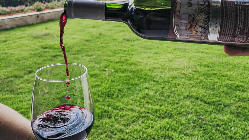 Além disso, Caconde oferece visitas a uma vinícola, onde os visitantes podem explorar o parreiral e degustar alguns vinhos de forma totalmente gratuita - (Divulgação/Turismo Caconde)