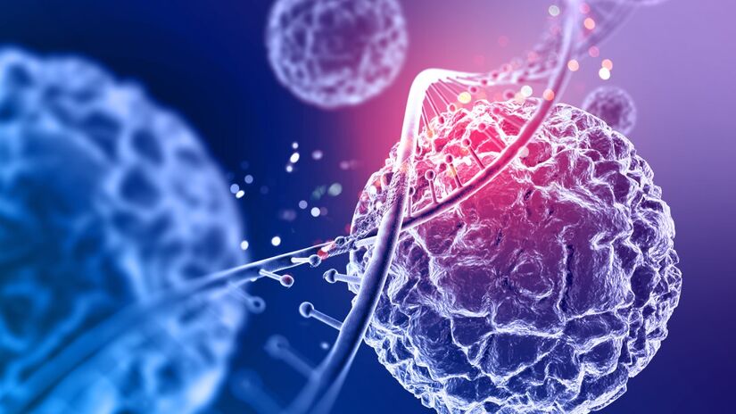 Histotripsia pode ser repetida e fortalece o sistema imunológico após as sessões