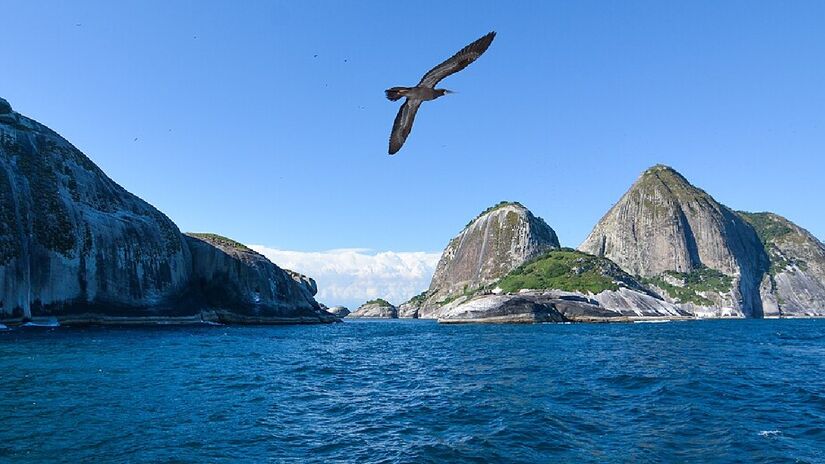 Essa ilha abriga mais de 1300 espécies. Imagem: Zejulio/Wikimedia Commons