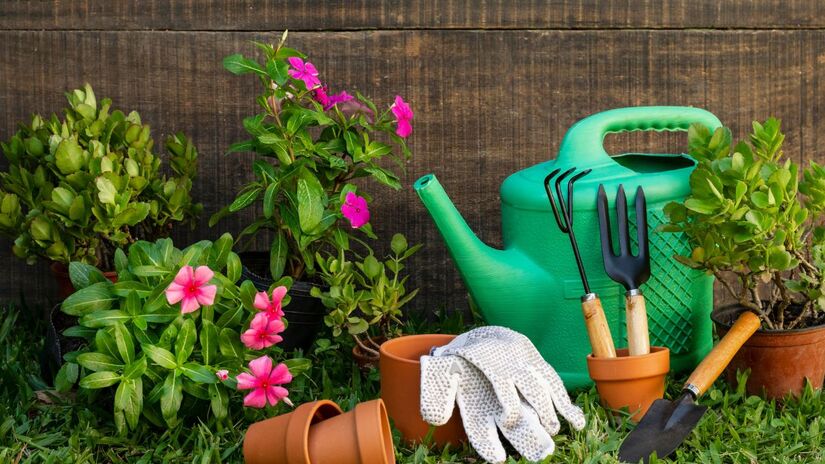Com o tempo você aprende a formar seu próprio jardim com mudas das plantas que você for cuidando (Fotos: Banco de Imagens - Freepik) 