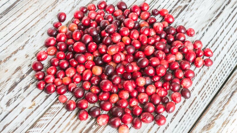 Apesar dos benefícios, especialistas alertam: cranberries não substituem tratamentos médicos (Fotos: Freepik)