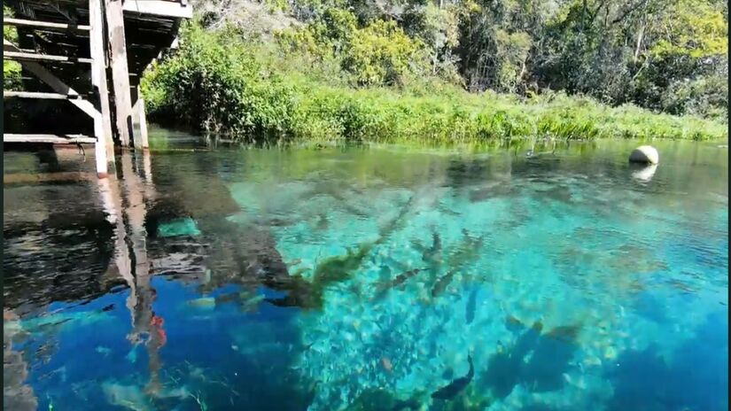 Há um controle rigoroso de visitantes para preservar a biodiversidade do local - reprodução: YouTube