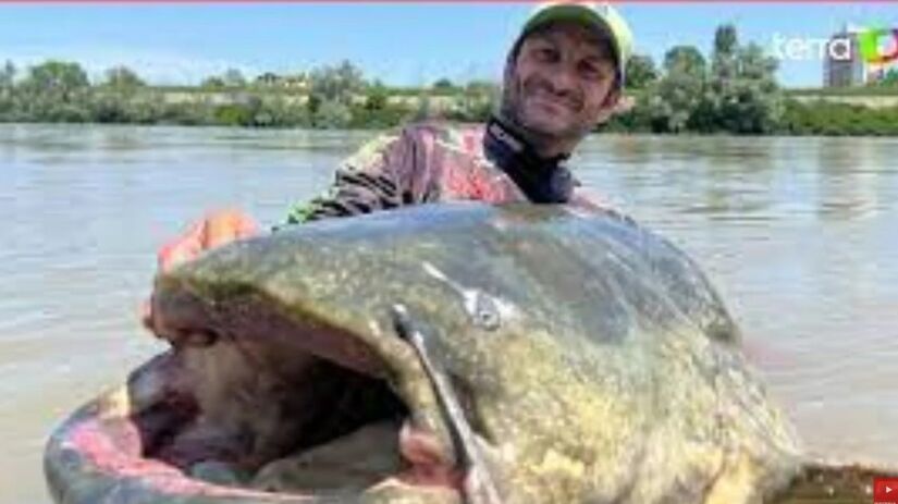 O pescador lutou por cerca de 40 minutos antes de trazer o peixe à superfície