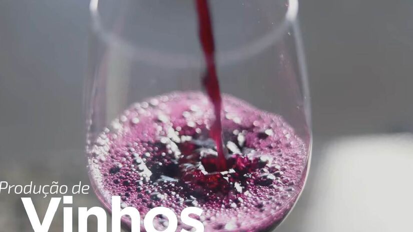 Um dos atrativos mais famosos é a degustação gratuita de vinhos. (Fotos: Reprodução/Youtube)