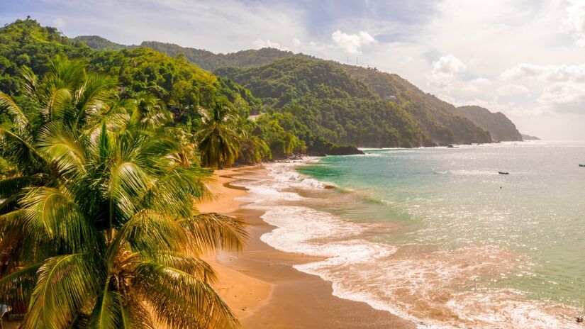 Além das praias, a cidade oferece atrações como o Aquário de Ubatuba, que tem uma grande diversidade de espécies (Foto: Freepik)