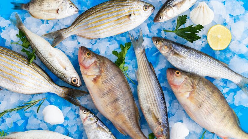 Surpreendentemente, peixes são o outro alimento que o Brasil não produz o suficiente para si (fotos: Freepik)