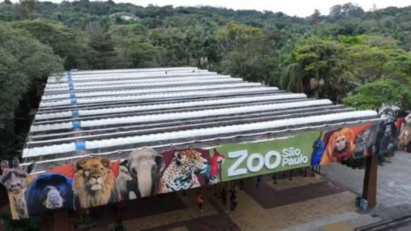 Os amantes de animais podem se divertir com a experiência de passar uma noite no Zoológico de São Paulo, que oferece um passeio noturno com foco em animais de vida noturna. Mas fique atento: esse passeio acontece de forma ocasional, sendo importante estar atento ao calendário do Zoológico. Foto: Divulgação